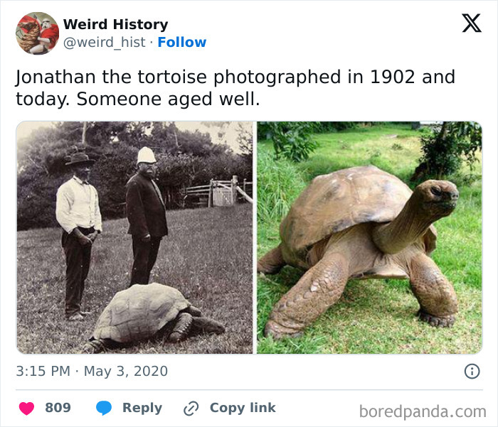 Best-All-Time-Weird-History