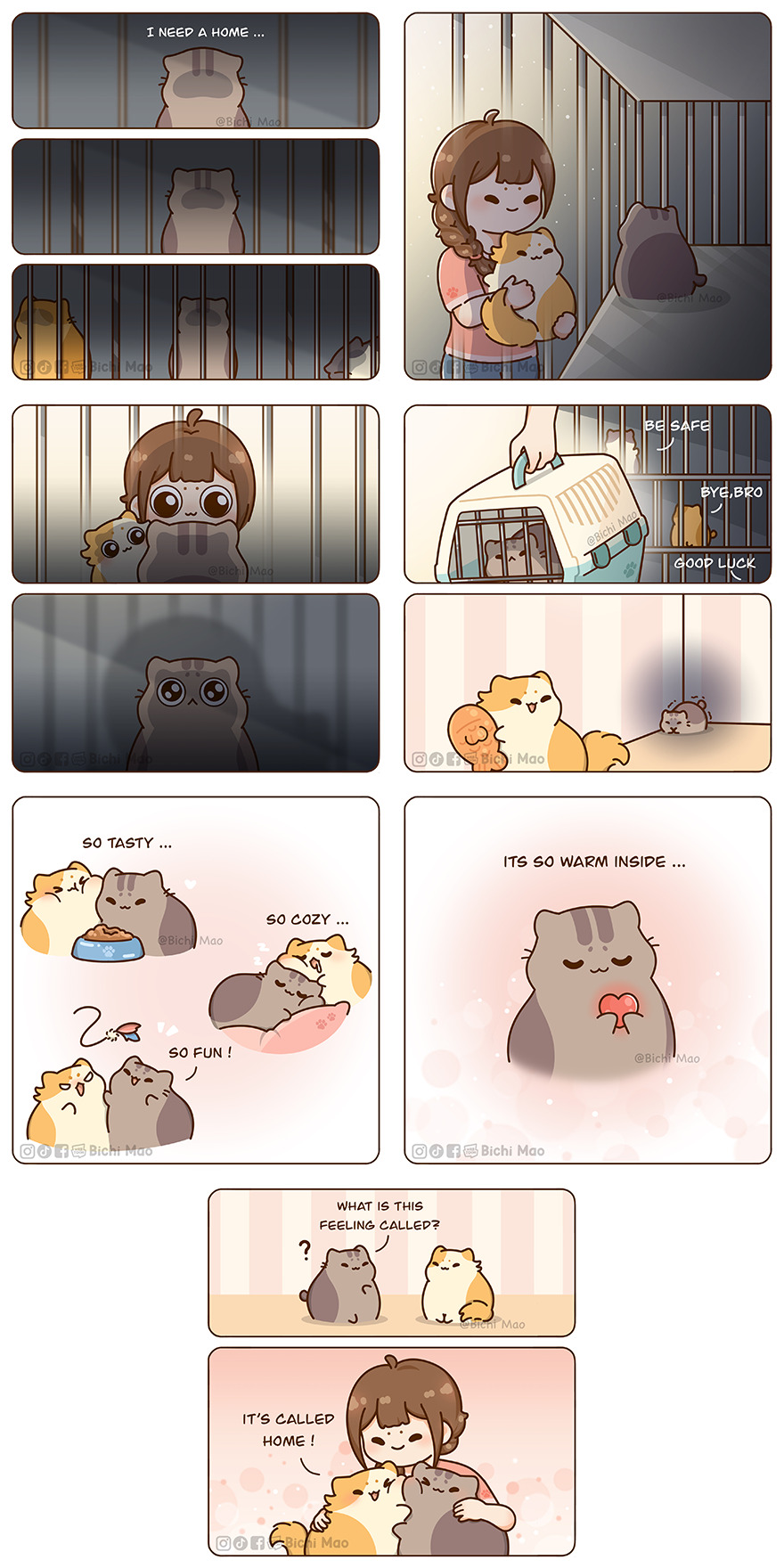 New Wholesome Comics By Olive Yong Showing The Sweet And Naughty Side Of Chubby Cats