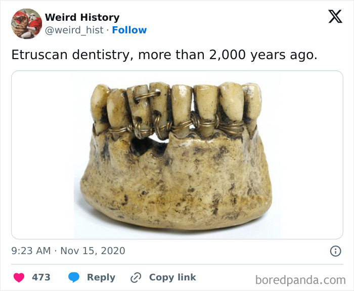 Best-All-Time-Weird-History