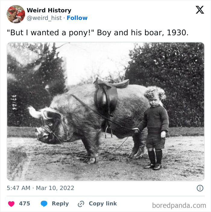 Best-All-Time-Weird-History