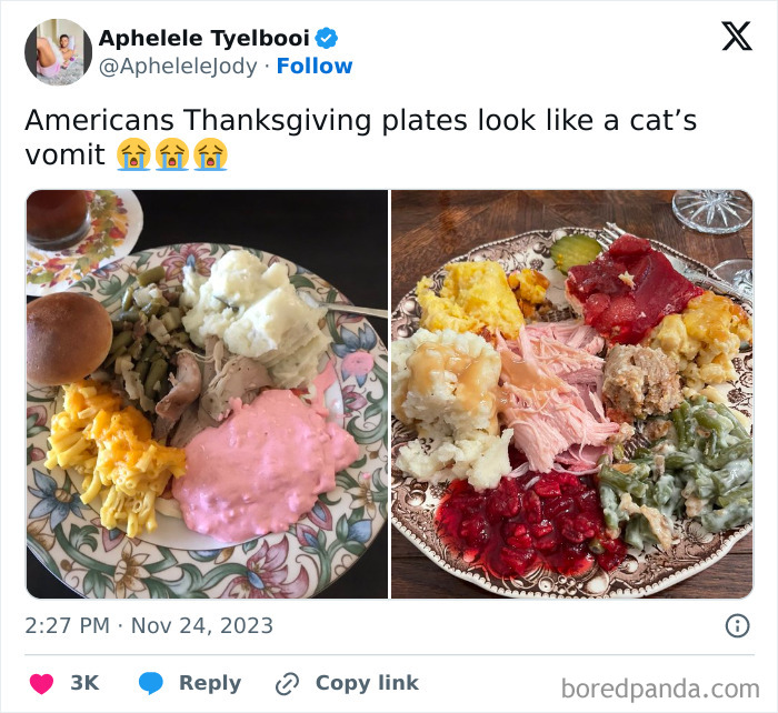 Thanksgiving plates with colorful food arrangements, sparking humor online.