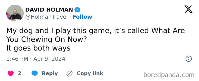 Screenshot of a funny tweet about a game with a dog called "What Are You Chewing On Now?"