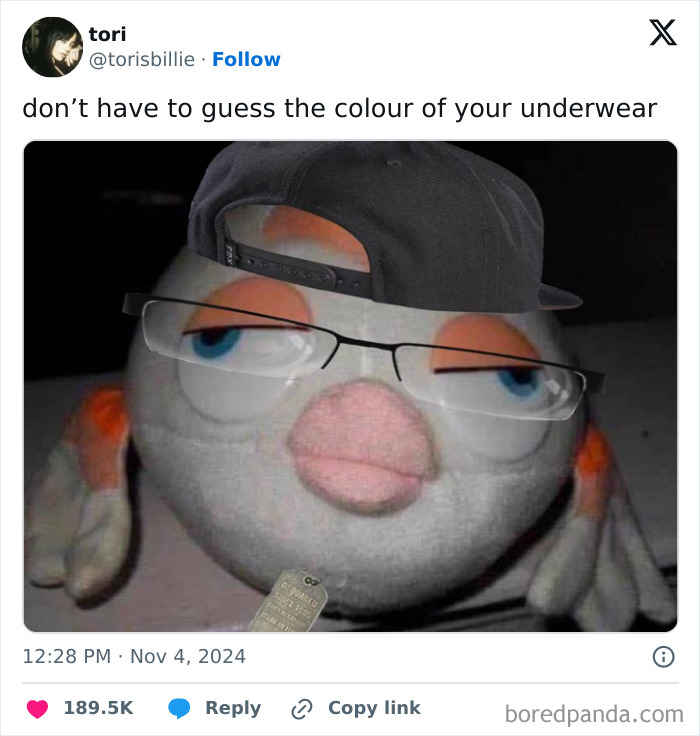 Funny tweet of a plush bird wearing a cap and glasses, accompanied by a humorous caption about underwear color.