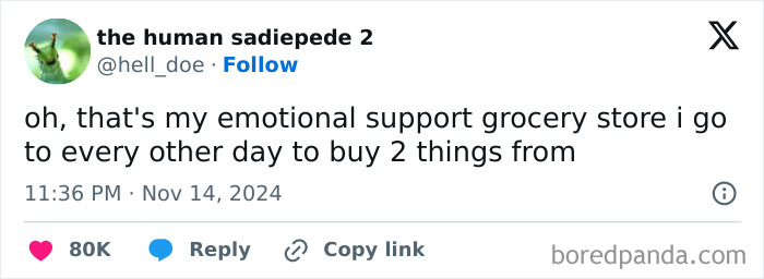 Funny tweet about visiting an emotional support grocery store, posted in November.