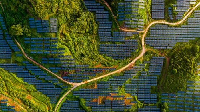 Aerial view of solar panels on a lush hillside, showcasing sustainability efforts in captivating photography.