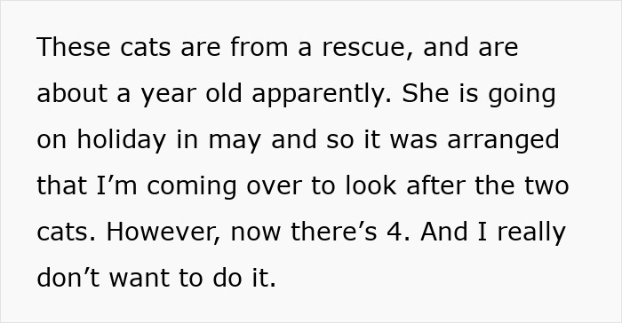 "[Am I Being Unreasonable] To Not Want To Look After My Sister's 4 Cats?"