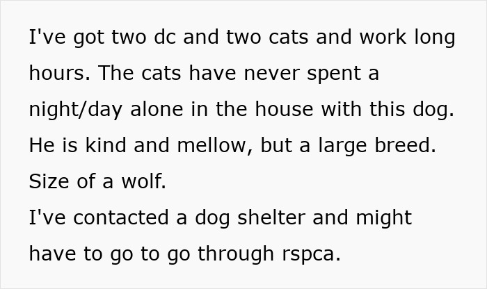 Woman Stuck With Ex’s Massive Dog As He Goes Abroad, Starts Calling Shelters To Get Rid Of It