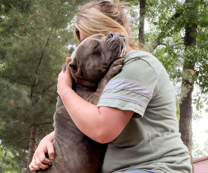 Lovely Pitbull Can’t Stop Hugging Woman Who Gave Him Foster Home, Goes Viral When Pics Spread Online