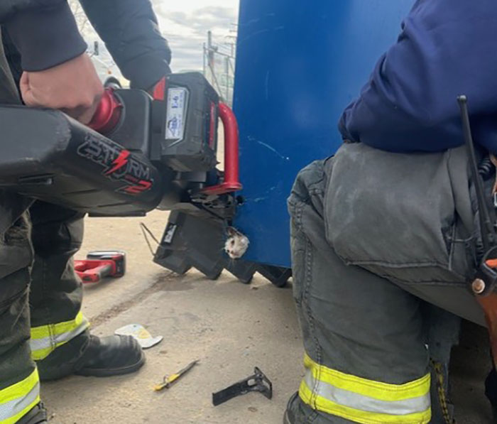 Kitty Trapped In Dumpster Gets Rescued By Firefighters With Heavy Machinery, And Netizens Are Happy