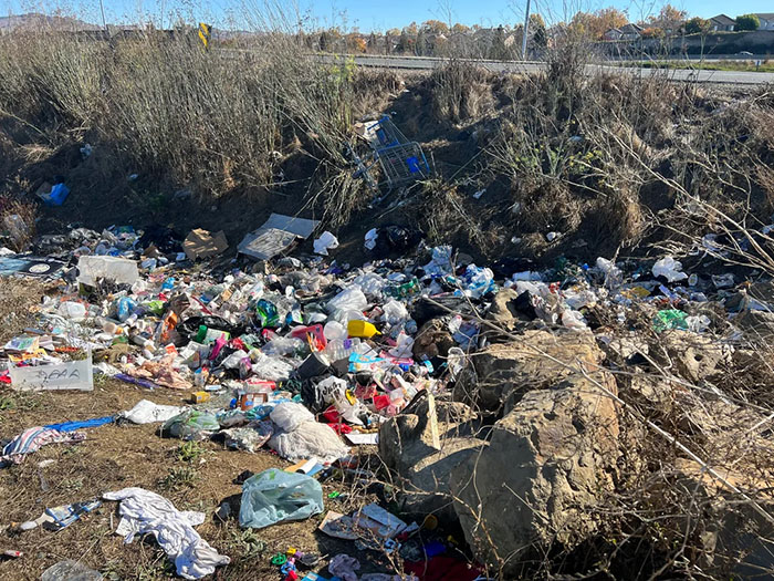 Guy Who Cleans Up Bay Area Gets To Enjoy The Fruit Of His Work As He Witnesses The Nature Return