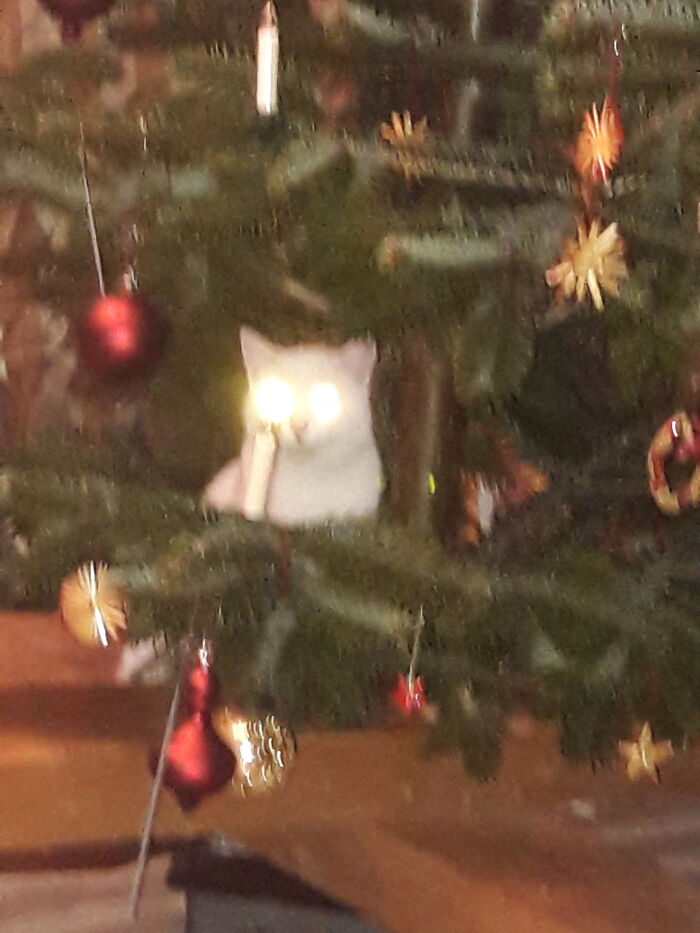 New Tree Ornament