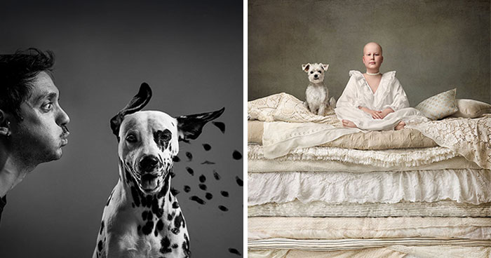 Here Are The Best 29 Pics Of 2024, As Shared By Dog Photography Awards