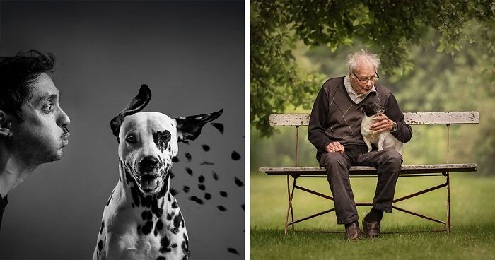 2024 Dog Photography Awards® Announced Their Winners, And Here Are 29 Of Them