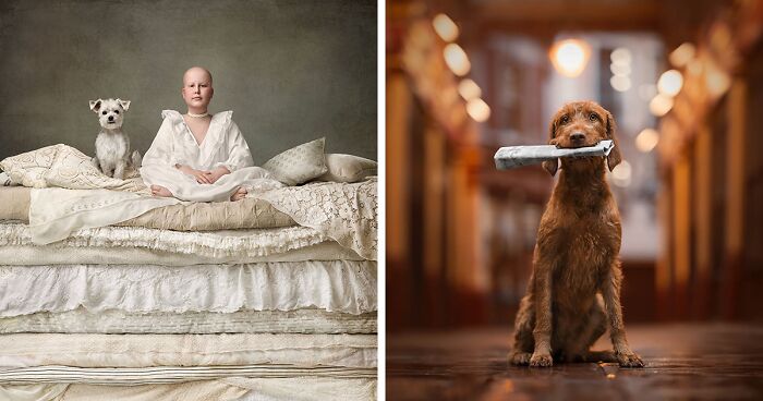 Here Are The Best 29 Pics Of 2024, As Shared By Dog Photography Awards