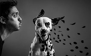 The Best 29 Photographs Of 2024, As Shared By Dog Photography Awards®