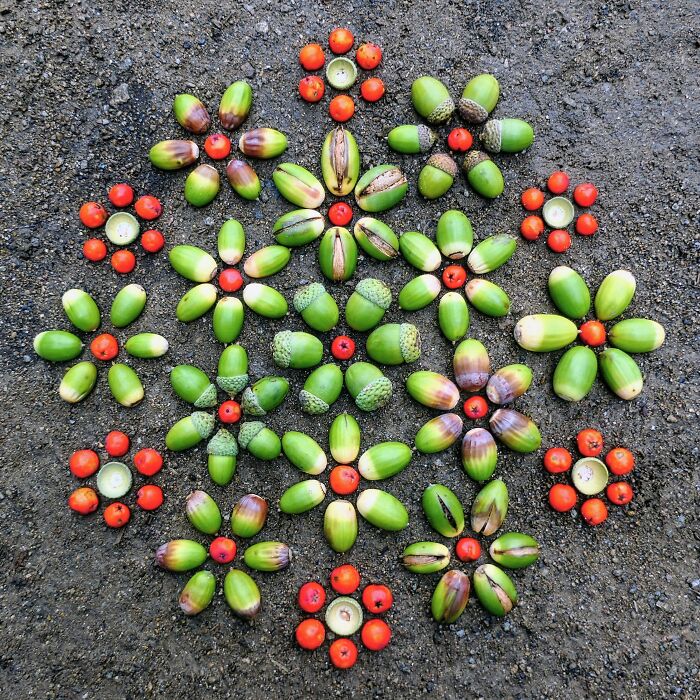 Diversity - Acorns And Rowan Berries