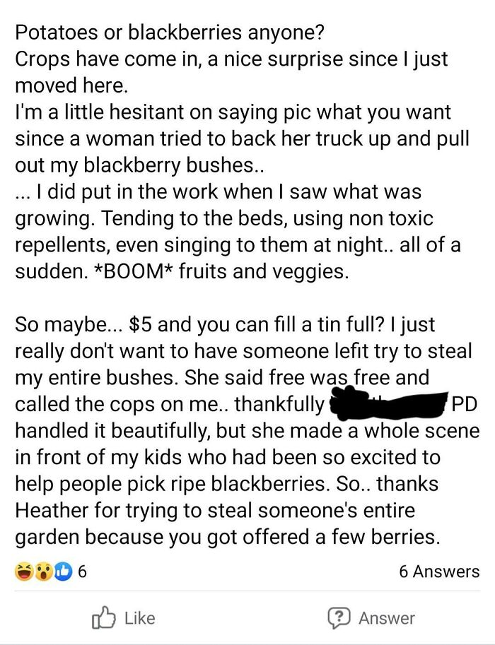 Text exchange highlighting a reality check for a choosing beggar over blackberry bush theft.