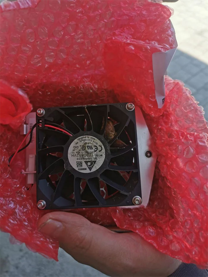 Intruder Breaks Fan On Inverter Then Dies