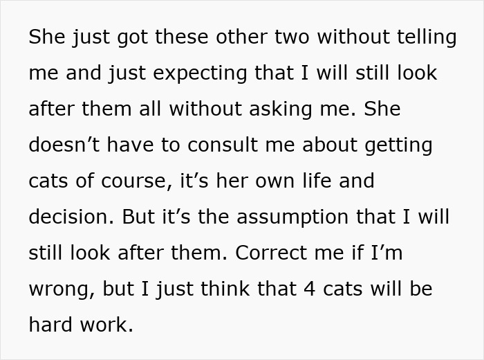 "[Am I Being Unreasonable] To Not Want To Look After My Sister's 4 Cats?"