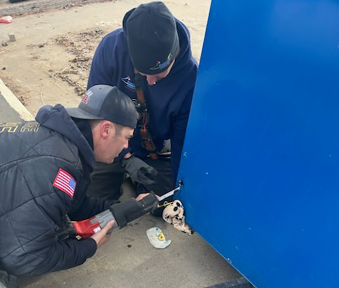 People Online Are Thankful To These Rescuers Who Successfully Saved Kitten Stuck In A Huge Dumpster