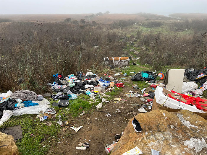 Guy Who Cleans Up Bay Area Gets To Enjoy The Fruit Of His Work As He Witnesses The Nature Return