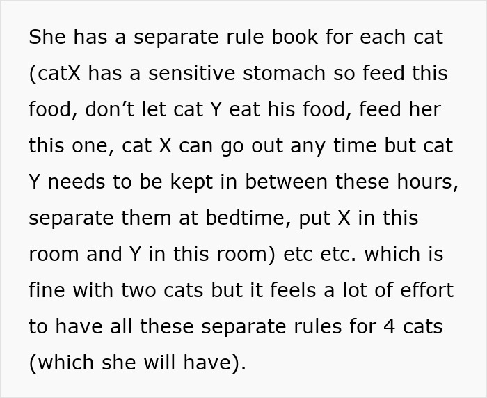 "[Am I Being Unreasonable] To Not Want To Look After My Sister's 4 Cats?"