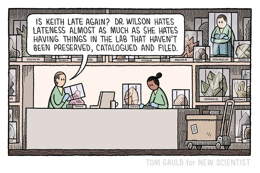 Scientists discussing lab work with humor in a comic by Tom Gauld for book and science lovers.