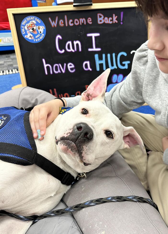 Netizens Are In Tears As These School Kids Learn Sign Language For Their Deaf Therapy Dog’s B-Day