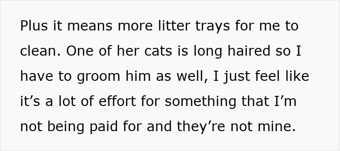 "[Am I Being Unreasonable] To Not Want To Look After My Sister's 4 Cats?"