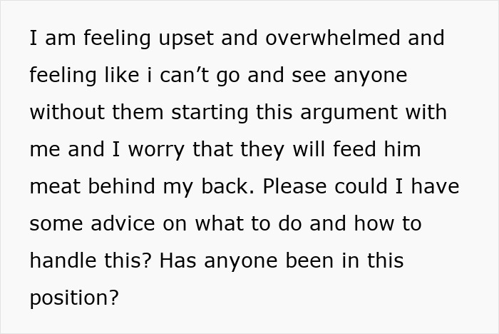 Text describing a vegetarian mom's concerns about family feeding her baby meat without her consent, seeking advice.