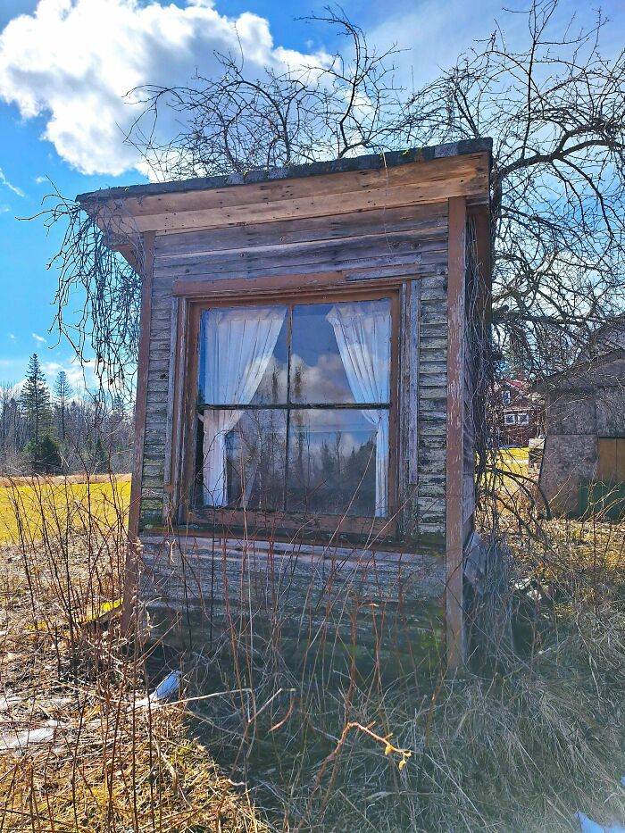 Double Outhouse On The Property Of My "New" 1900 Home. Figured Someone Here Might Find It Cool