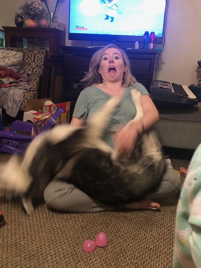 Blurry Picture Of A Dog