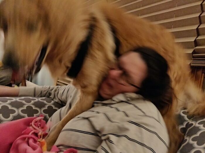 Blurry Picture Of A Dog