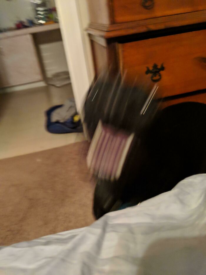 Blurry Picture Of A Dog