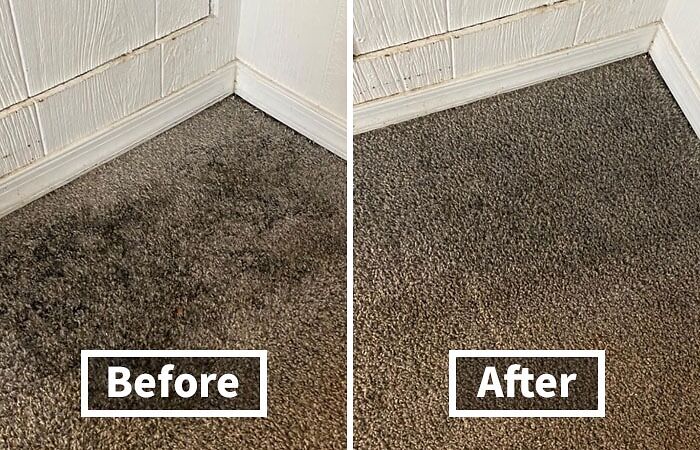 Erase Spills, Stains, And Messes On-The-Go With The Popular Little Green Portable Carpet And Upholstery Cleaner, A Compact And Mighty Solution For Quick Cleanups