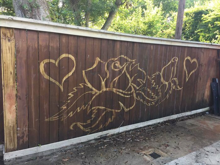 Powerwashing My Fence, Accidentally Unleashed My Inner Artist