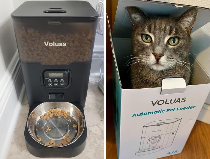 Heading Out Of Town And Worried About Whiskers' Meals? Keep Them Fed And Happy With A Convenient Automatic Cat Feeder