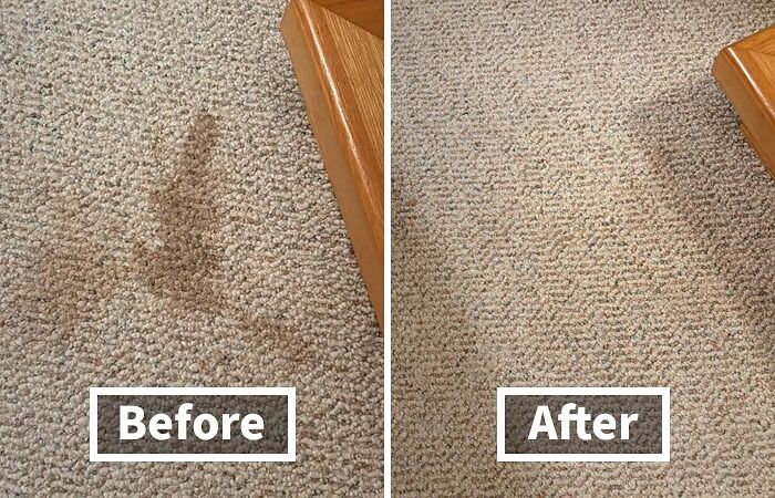 Accidents Happen, But Stains Don't Have To Stick Around... Erase Them With A Potent Stain & Odor Eliminator