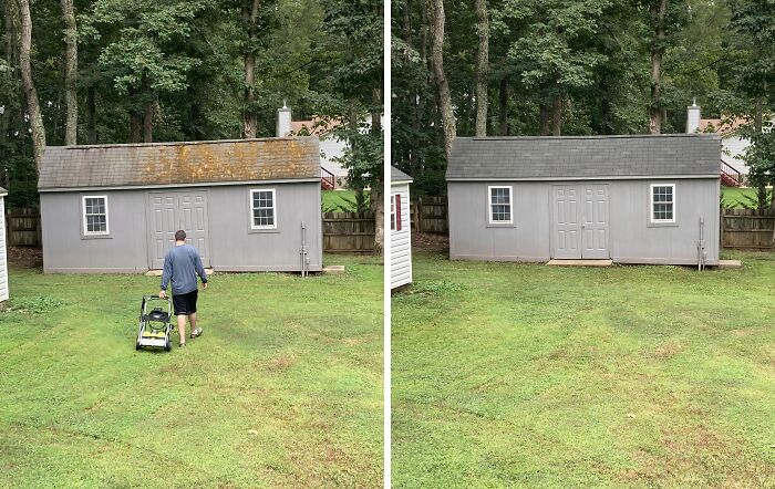 Roof Cleaning Transformed The Look Of The Yard!