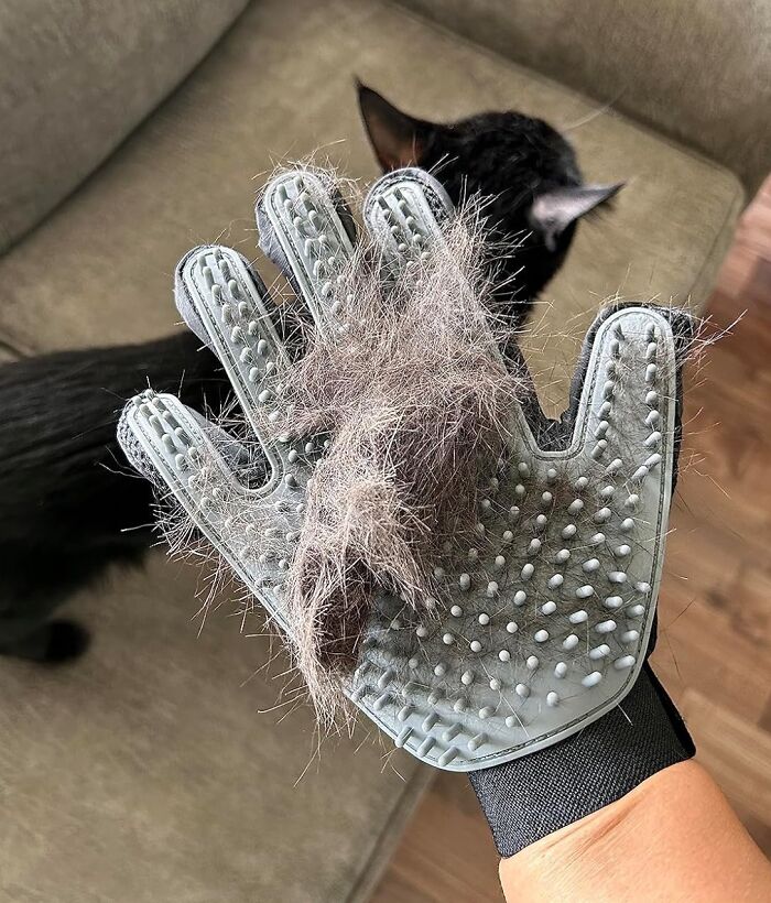 Get A Grip On Shedding With A Pair Of Clever Efficient Pet Hair Remover Gloves