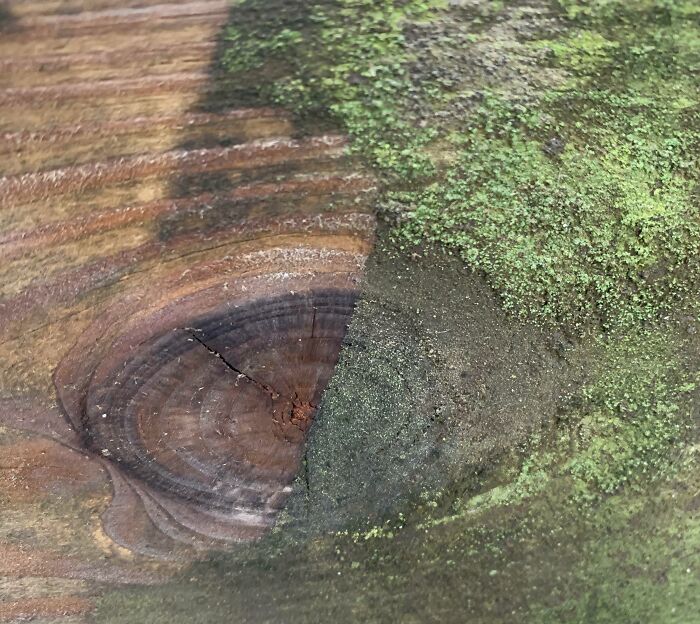 Wood Before And After Pressure Washing