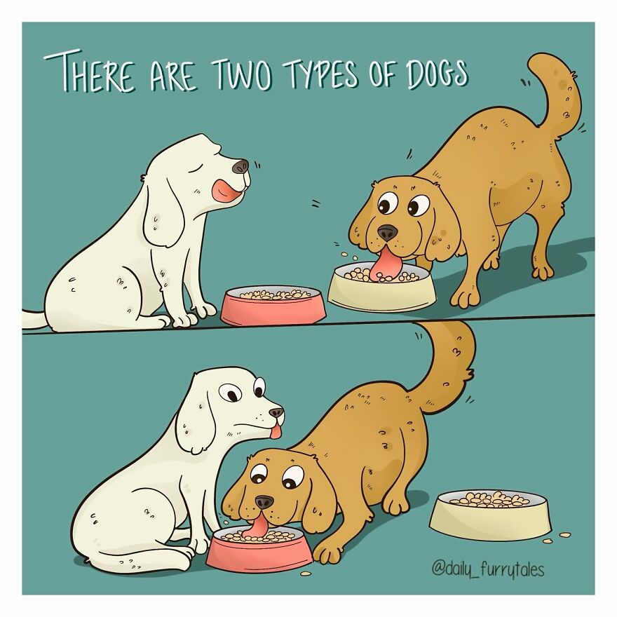 Paws And Pages: How ‘Daily Furry Tales’ Captivates 44k Dog Lovers With Heartfelt Comics (New Pics)