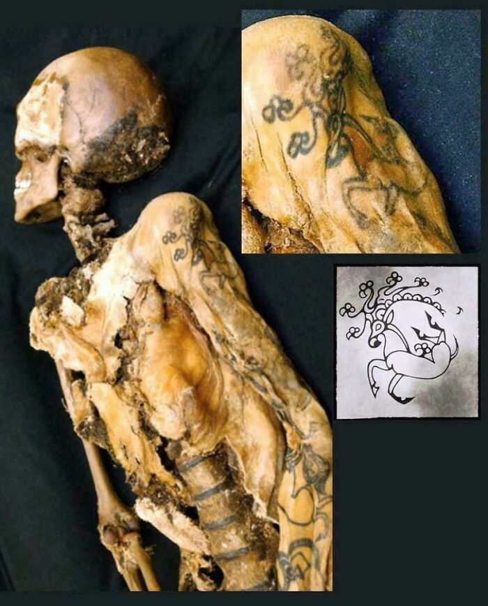 The Astonishing 2,500 Year Old Tattoo Of A Siberian Princess