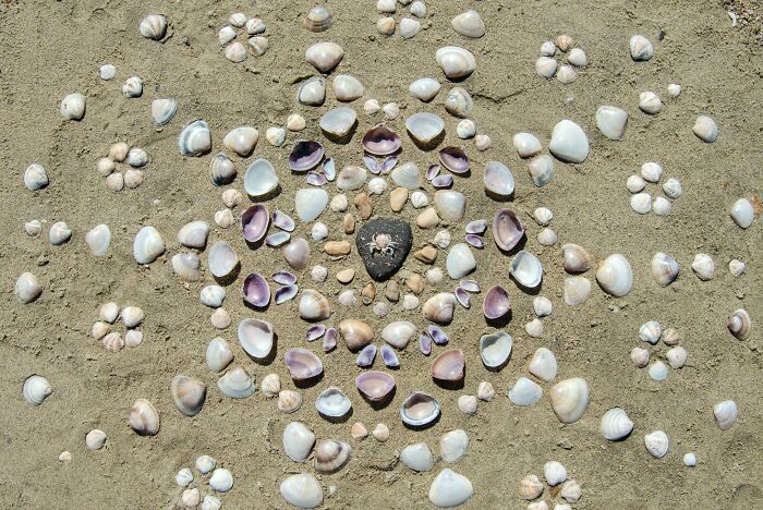 Someone Built This Crab Shrine On The Beach