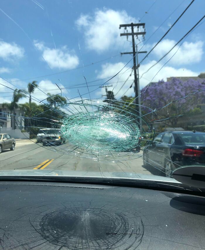 A Stray Golf Ball Hit Our Windshield On The Way To The Beach And We Are On Vacation