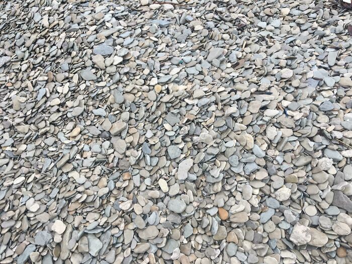 I Found A Beach Full Of Perfect Skipping Stones