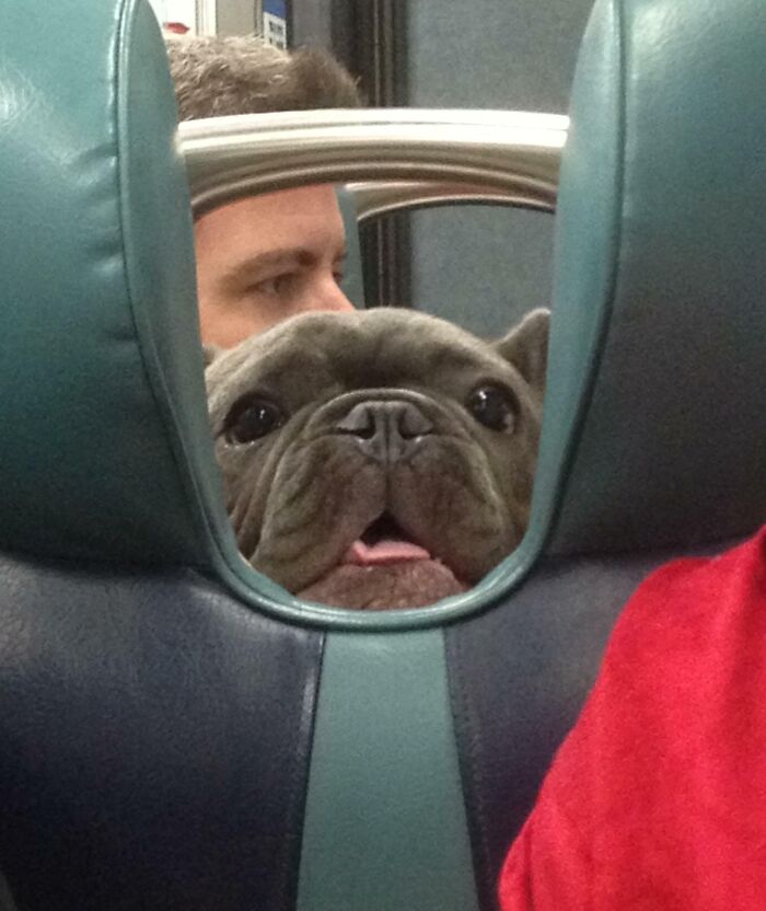 Estaba en el tren y vi esta carita 