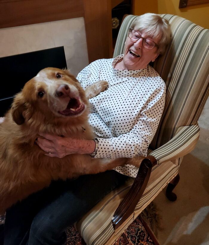 La persona favorita de mi perro es mi abuela. Ayer cumplió 89 años, así que él tenía que saludarla con un abrazo como Dios manda 