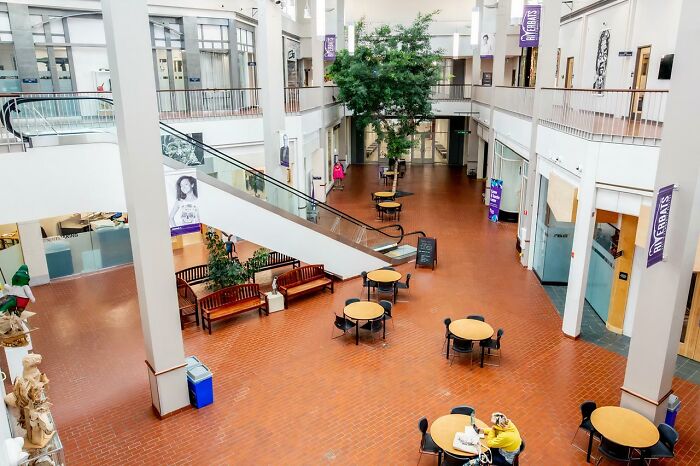 Open, airy atrium in a renovated building conversion with seating, trees, and a staircase, showcasing adaptive reuse architecture.