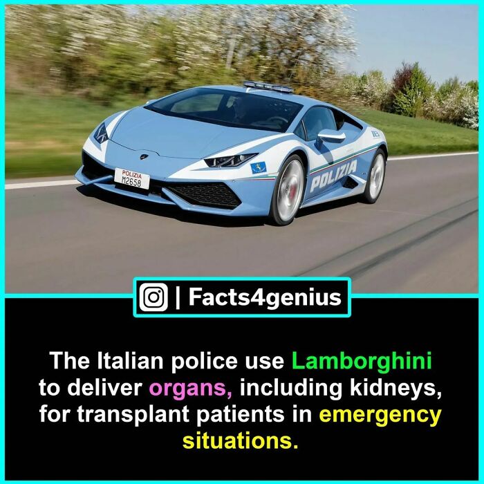 Italian police Lamborghini used for organ delivery in emergencies.